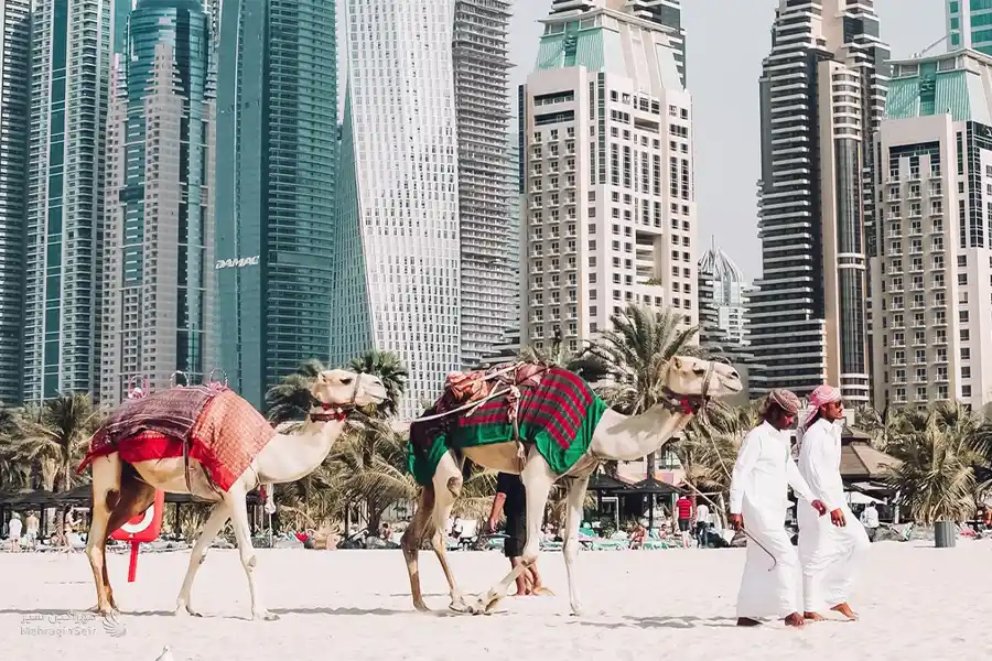 تصویری از مدرنیته و سنت 
