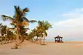 تور جزیره کیش